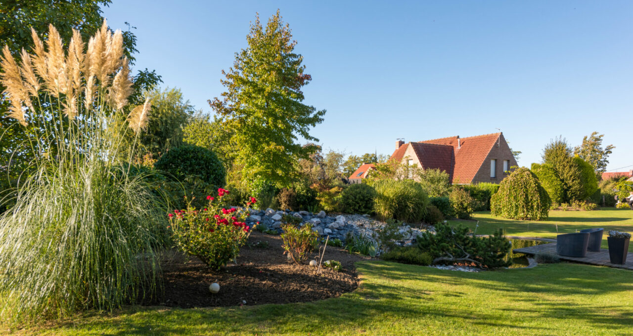taille des haies et des arbustes, entretien jardin Lille