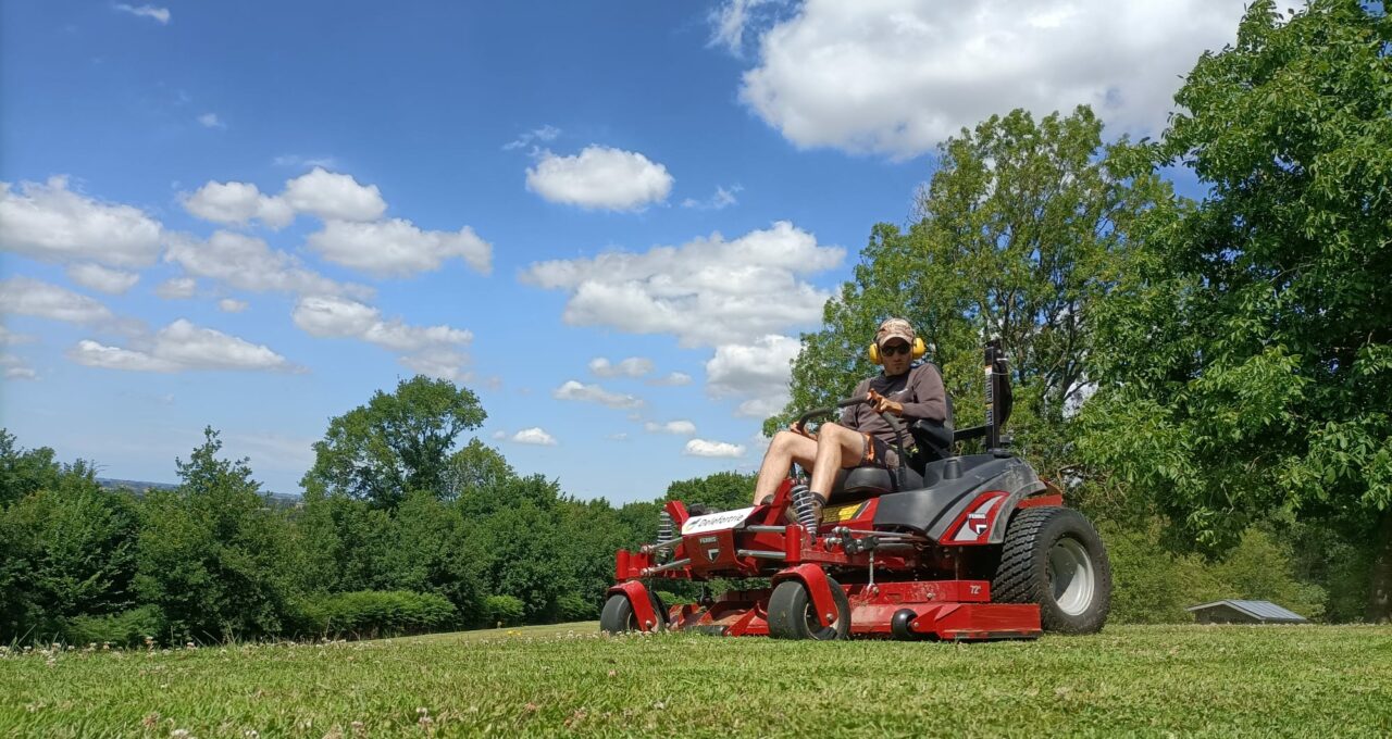 tonte de pelouse entretien jardin