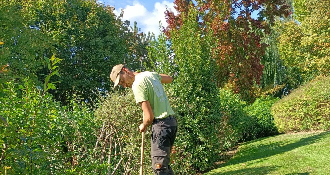 scarification pelouse entretien jardin lille